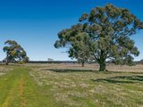 https://images.listonce.com.au/custom/160x/listings/167-bourke-lane-tylden-vic-3444/297/01898297_img_05.jpg?8g2hTSZUly4