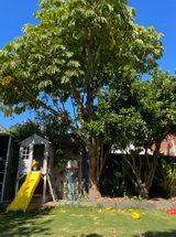 https://images.listonce.com.au/custom/160x/listings/17-albion-street-south-yarra-vic-3141/505/01782505_img_01.jpg?Gw7NTG5jg5k