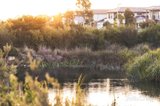 https://images.listonce.com.au/custom/160x/listings/17-hoddle-street-mulgrave-vic-3170/244/01752244_img_25.jpg?c4vhc6lB19I