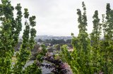 https://images.listonce.com.au/custom/160x/listings/17-radnor-street-heidelberg-vic-3084/892/01302892_img_15.jpg?OOXrGpMDFDM