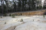 https://images.listonce.com.au/custom/160x/listings/17-zoe-drive-mount-helen-vic-3350/865/00857865_img_03.jpg?n_NPfWJMG3Y