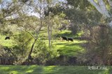 https://images.listonce.com.au/custom/160x/listings/1769-creswick-newstead-road-campbelltown-vic-3364/085/01947085_img_32.jpg?QzjEiIKBJjs