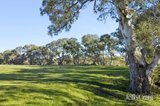 https://images.listonce.com.au/custom/160x/listings/1769-creswick-newstead-road-campbelltown-vic-3364/085/01947085_img_33.jpg?Vbi-d0Bx6co