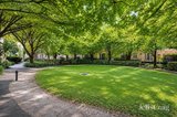 https://images.listonce.com.au/custom/160x/listings/178-wellington-crescent-east-melbourne-vic-3002/206/01973206_img_14.jpg?-SW4MRJnJD4