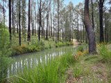 https://images.listonce.com.au/custom/160x/listings/181-gordons-bridge-road-kinglake-vic-3763/354/01525354_img_11.jpg?u0cleFL7S28