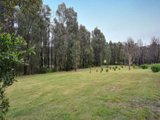 https://images.listonce.com.au/custom/160x/listings/181-gordons-bridge-road-kinglake-vic-3763/354/01525354_img_17.jpg?wx4wZO6hsRM