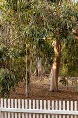https://images.listonce.com.au/custom/160x/listings/19-greenwich-crescent-bundoora-vic-3083/888/01718888_img_10.jpg?9bHJrO3nZBc