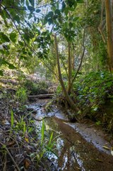 https://images.listonce.com.au/custom/160x/listings/19-railway-road-mount-evelyn-vic-3796/009/01976009_img_19.jpg?E66XjWVvxis