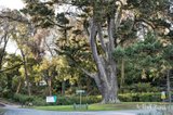 https://images.listonce.com.au/custom/160x/listings/2-albert-lane-daylesford-vic-3460/291/01897291_img_21.jpg?j1zxZWYHOh0