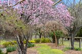 https://images.listonce.com.au/custom/160x/listings/2-stump-street-maldon-vic-3463/378/01898378_img_15.jpg?yt9Id9mmX5Q