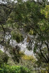 https://images.listonce.com.au/custom/160x/listings/202r88-trenerry-crescent-abbotsford-vic-3067/784/01979784_img_05.jpg?utnPzSkM4xk