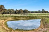 https://images.listonce.com.au/custom/160x/listings/21-donkey-gully-road-campbells-creek-vic-3451/211/01916211_img_17.jpg?ImaqdyADdxc