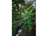 https://images.listonce.com.au/custom/160x/listings/21-rose-avenue-surrey-hills-vic-3127/884/01743884_img_09.jpg?_GJQRYw6VMQ