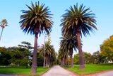 https://images.listonce.com.au/custom/160x/listings/2102-milton-street-elwood-vic-3184/146/01794146_img_11.jpg?N31ygr5IKnY