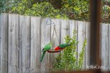 https://images.listonce.com.au/custom/160x/listings/215-andrew-street-ringwood-vic-3134/096/01950096_img_05.jpg?ha0n3M5pTfo