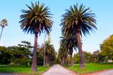 https://images.listonce.com.au/custom/160x/listings/216-robe-street-st-kilda-vic-3182/980/01793980_img_10.jpg?liq5uG8om2Q