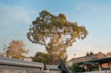 https://images.listonce.com.au/custom/160x/listings/22-garfield-street-fitzroy-vic-3065/811/01517811_img_11.jpg?Os4op9SirpM
