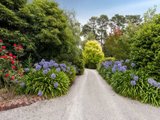 https://images.listonce.com.au/custom/160x/listings/22-montrose-road-montrose-vic-3765/092/01524092_img_20.jpg?cPoAEc3XNGA