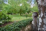 https://images.listonce.com.au/custom/160x/listings/222-gillies-road-mount-rowan-vic-3352/470/01576470_img_26.jpg?Dp0kYroHZkE