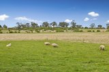 https://images.listonce.com.au/custom/160x/listings/228-mcphersons-lane-kyneton-vic-3444/111/01898111_img_10.jpg?oiD3CAjzVSo