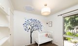 https://images.listonce.com.au/custom/160x/listings/2372-middleborough-road-blackburn-vic-3130/592/01721592_img_07.jpg?LKPZy91Dm7w