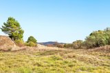 https://images.listonce.com.au/custom/160x/listings/24-alliance-street-clunes-vic-3370/422/01544422_img_04.jpg?J00i8tMLCPU
