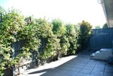 https://images.listonce.com.au/custom/160x/listings/247-east-boundary-road-bentleigh-east-vic-3165/692/01815692_img_04.jpg?5H0pbgoPlDY