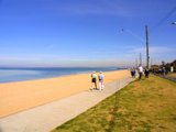 https://images.listonce.com.au/custom/160x/listings/247-spray-street-elwood-vic-3184/703/01794703_img_08.jpg?agNZlJim6EM