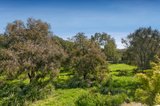 https://images.listonce.com.au/custom/160x/listings/2489-st-kilda-street-elwood-vic-3184/644/01793644_img_08.jpg?bYEu4qb2vHo