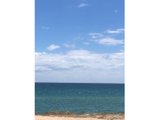 https://images.listonce.com.au/custom/160x/listings/25-macks-place-safety-beach-vic-3936/343/00621343_img_04.jpg?MPWct7kTq8w