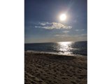 https://images.listonce.com.au/custom/160x/listings/25-macks-place-safety-beach-vic-3936/343/00621343_img_08.jpg?1b0sVobBprw