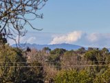 https://images.listonce.com.au/custom/160x/listings/26-tennyson-street-kew-vic-3101/167/01684167_img_06.jpg?E9weUvnkB5I