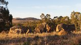 https://images.listonce.com.au/custom/160x/listings/2697-bridgewater-maldon-road-baringhup-vic-3463/040/00894040_img_05.jpg?oUC_MYh67JE