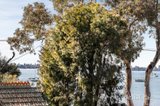 https://images.listonce.com.au/custom/160x/listings/27a-the-strand-williamstown-vic-3016/483/01766483_img_13.jpg?wF1Wgn0pzXU
