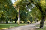 https://images.listonce.com.au/custom/160x/listings/28-garton-street-carlton-north-vic-3054/813/01905813_img_05.jpg?mytHgWHId0k