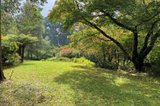 https://images.listonce.com.au/custom/160x/listings/28-mountains-road-cherokee-vic-3434/049/01898049_img_02.jpg?n0_Wg4x-Ox0