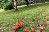https://images.listonce.com.au/custom/160x/listings/28-mountains-road-cherokee-vic-3434/049/01898049_img_07.jpg?XzpstaAy3_o