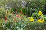 https://images.listonce.com.au/custom/160x/listings/280-mine-road-cottles-bridge-vic-3099/172/01737172_img_15.jpg?S6PB7Vc6V0k