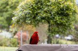 https://images.listonce.com.au/custom/160x/listings/289-harpers-road-woodend-vic-3442/993/01822993_img_14.jpg?DNA856WfvMQ