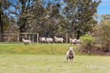https://images.listonce.com.au/custom/160x/listings/289-harpers-road-woodend-vic-3442/993/01822993_img_19.jpg?wY7VtNa5iUg