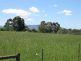 https://images.listonce.com.au/custom/160x/listings/2a-andrew-crescent-croydon-south-vic-3136/175/00620175_img_13.jpg?nG3y-Bj1zN0