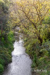 https://images.listonce.com.au/custom/160x/listings/3-currawong-lane-greensborough-vic-3088/451/01902451_img_09.jpg?Roa5NFvxeCk