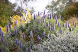 https://images.listonce.com.au/custom/160x/listings/30-thomas-road-arthurs-creek-vic-3099/458/01814458_img_21.jpg?P3_mgaVBaFg