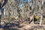 https://images.listonce.com.au/custom/160x/listings/302-rilens-road-muckleford-vic-3451/722/01748722_img_02.jpg?AjP4JZKKlGM