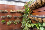 https://images.listonce.com.au/custom/160x/listings/31-allison-road-mont-albert-north-vic-3129/581/01684581_img_12.jpg?J51W1epgrbY