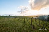 https://images.listonce.com.au/custom/160x/listings/31-melba-highway-yering-vic-3770/830/01933830_img_02.jpg?In199wA77x8