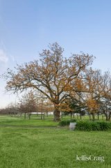 https://images.listonce.com.au/custom/160x/listings/31-melba-highway-yering-vic-3770/830/01933830_img_11.jpg?_yzTJzCWPhk