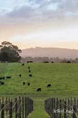 https://images.listonce.com.au/custom/160x/listings/31-melba-highway-yering-vic-3770/830/01933830_img_13.jpg?99kfJisEUdw