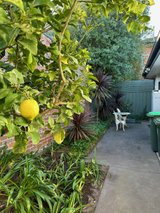 https://images.listonce.com.au/custom/160x/listings/31-mernda-avenue-carnegie-vic-3163/553/01811553_img_15.jpg?p1k3PYdrgTQ