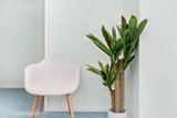 https://images.listonce.com.au/custom/160x/listings/34-lemon-road-balwyn-north-vic-3104/451/01684451_img_09.jpg?I-79gk23Pkk